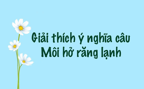 Ý nghĩa câu tục ngữ Môi hở răng lạnh