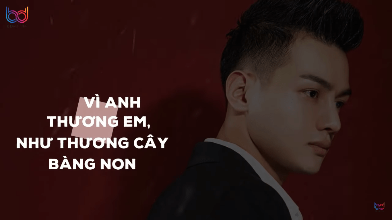 Thương Em Như Cây Bàng Non Gallery 1