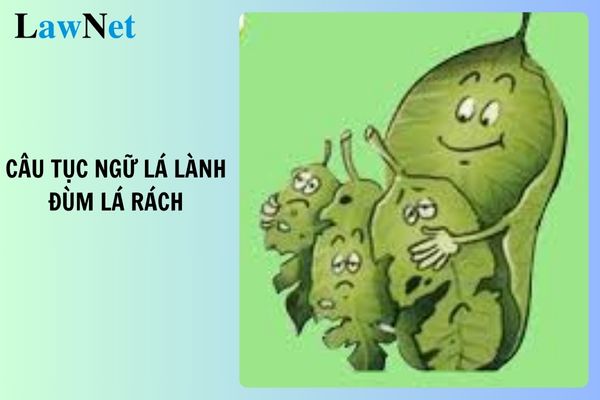 Giải thích câu tục ngữ Lá lành đùm lá rách Gallery 1