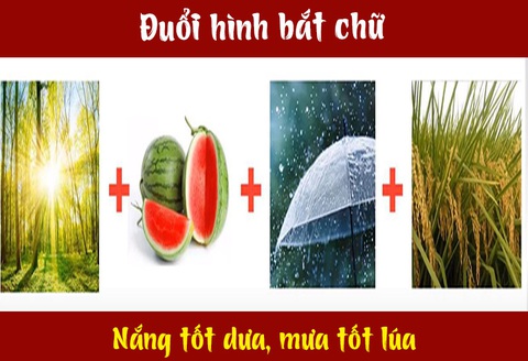 Nắng tốt dưa mưa tốt lúa nghĩa là gì? Gallery 1