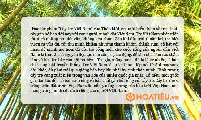 Cây Tre Việt Nam Lớp 6 Gallery 2