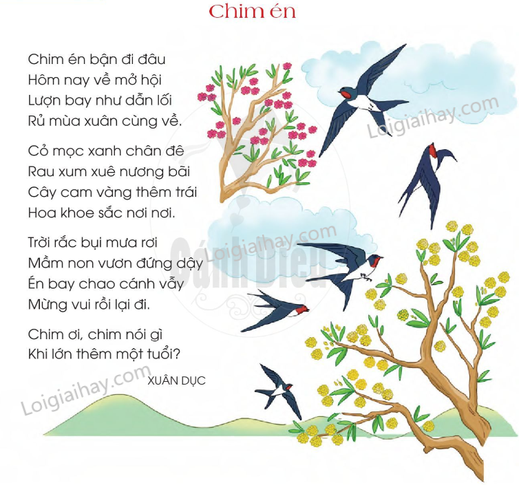 Chim Én Số Mấy? Gallery 1