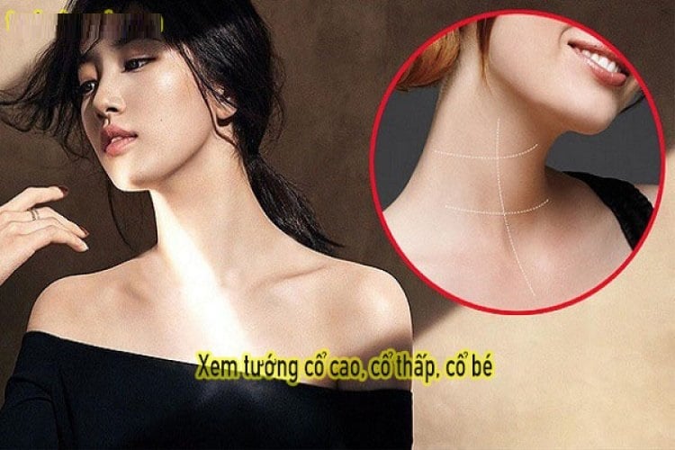 Cổ Cao Ba Ngấn Là Gì? Ý Nghĩa Và Cách Nhận Biết Gallery 1