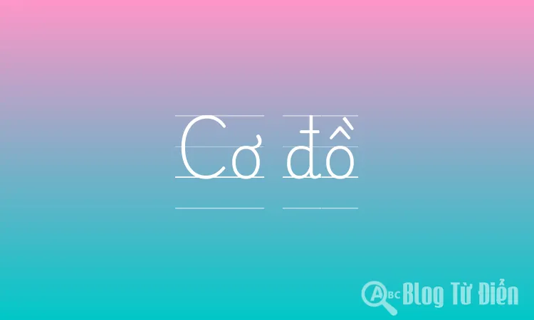 Cơ Đồ Nghĩa Là Gì? Gallery 2