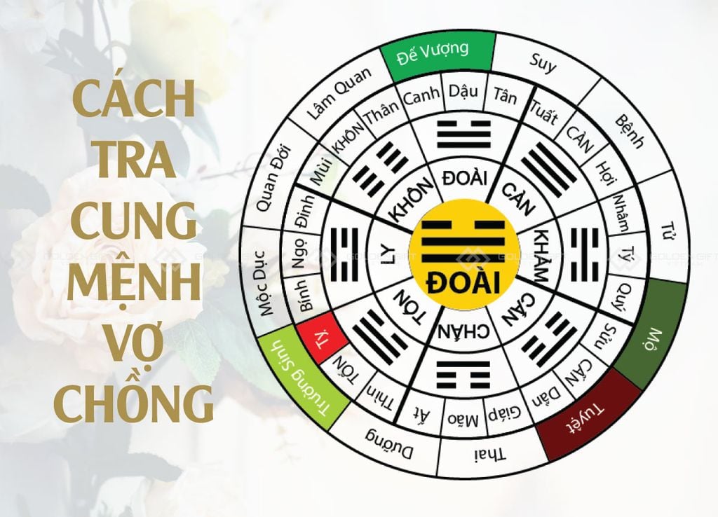 Cung Tốn Tốt Hay Xấu? Gallery 1