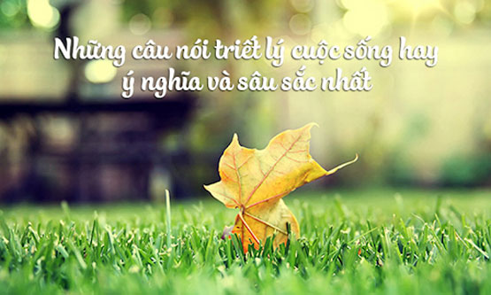 Hãy Nói Về Cuộc Đời Gallery 1