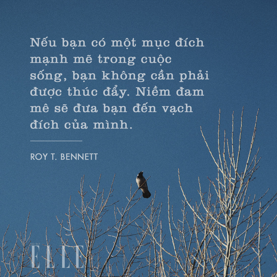 Những Câu Nói Hay Về Lý Tưởng Sống Gallery 2