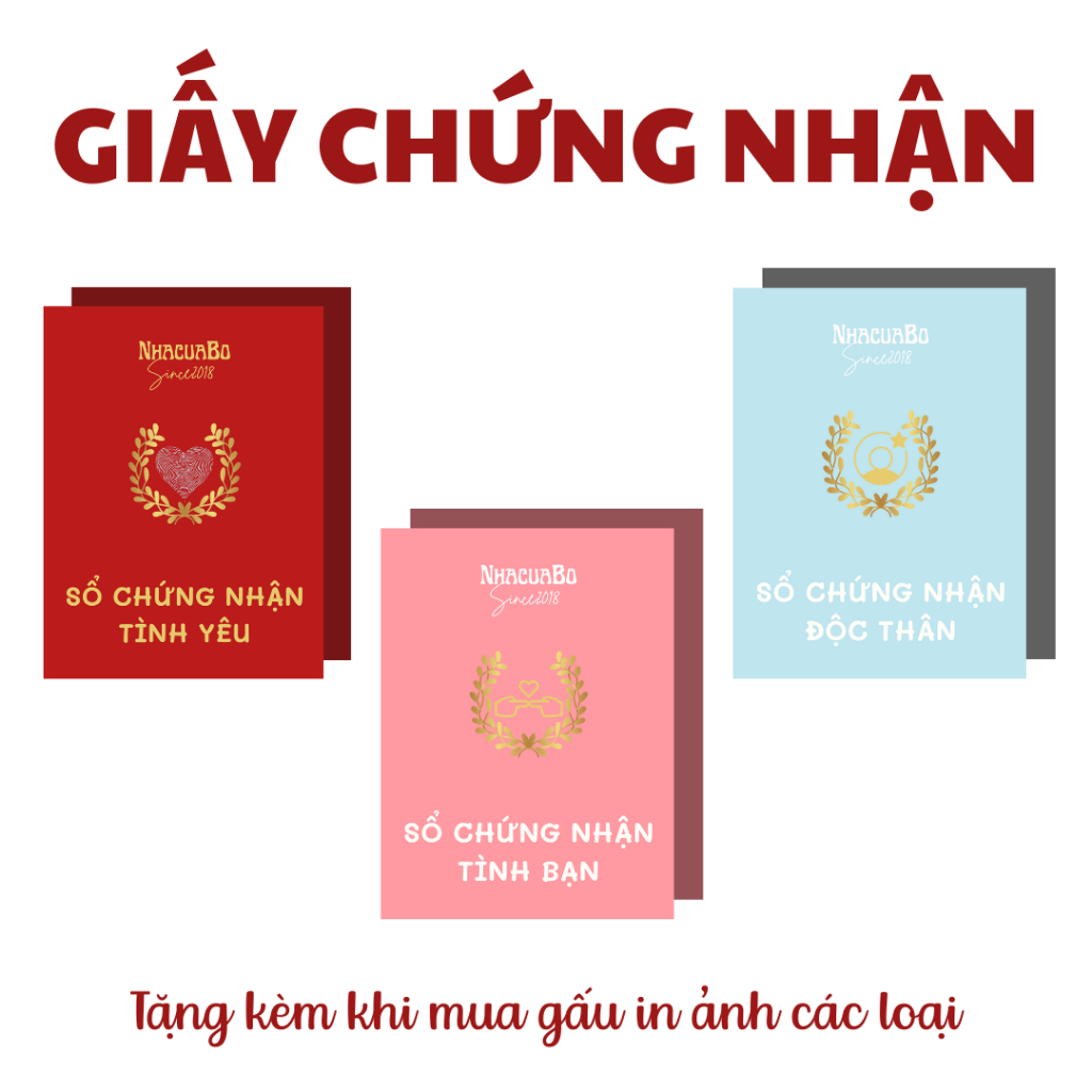 Giấy Chứng Nhận Tình Bạn Gallery 1