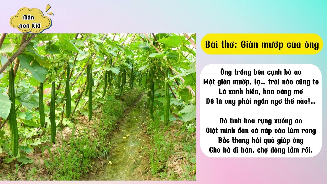 Bài Thơ Giàn Mướp Hay Nhất Gallery 2