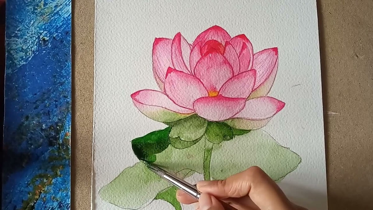Hình Vẽ Bông Sen Gallery 2