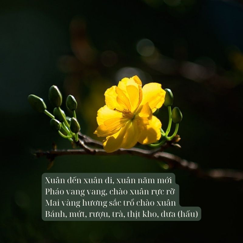 Thơ 4 Chữ Về Hoa Mai Gallery 2
