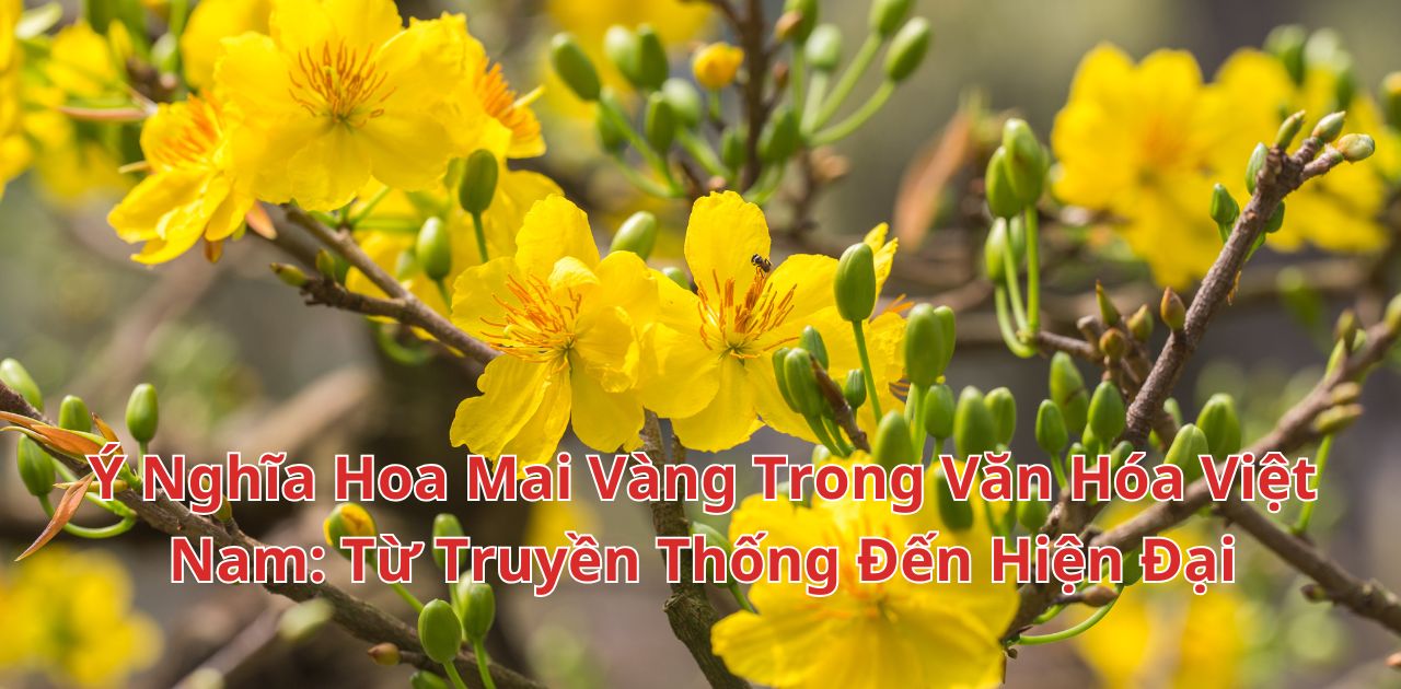 Sự tích hoa mai: Truyền thuyết về loài hoa Tết Gallery 2