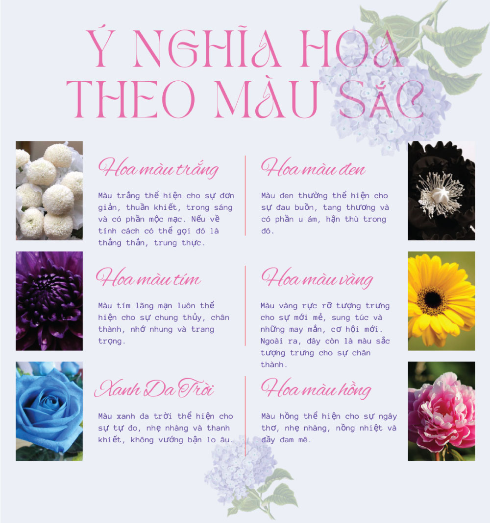 Hoa Về: Ý Nghĩa, Loài Hoa Và Cách Chăm Sóc Gallery 1