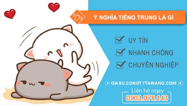 IỈ là gì? Tất tần tật về IỈ Gallery 1