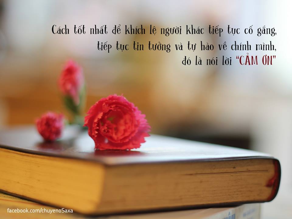 Ý nghĩa của lời cảm ơn
