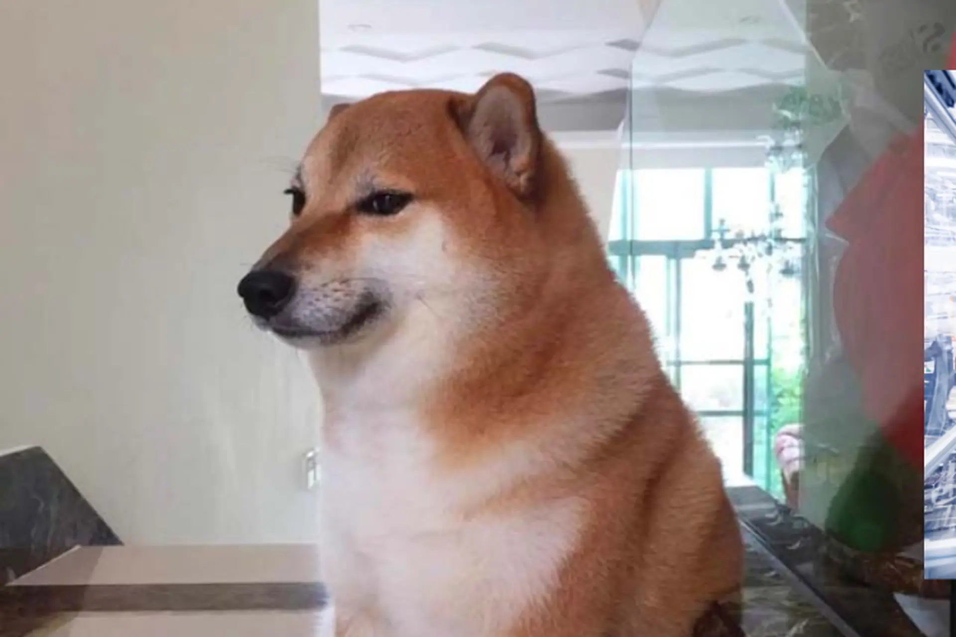 Meme Cheem: Nguồn gốc, ý nghĩa và sự lan truyền Gallery 2