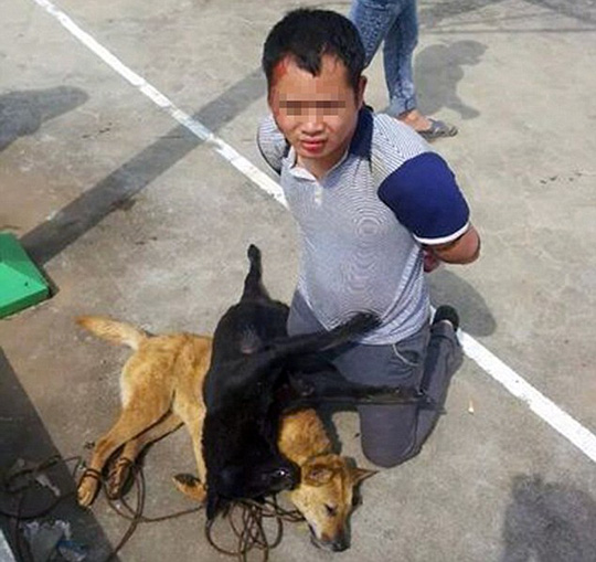 Trộm Chó Meme: Nguồn Gốc, Ý Nghĩa Và Sự Phổ Biến Gallery 2