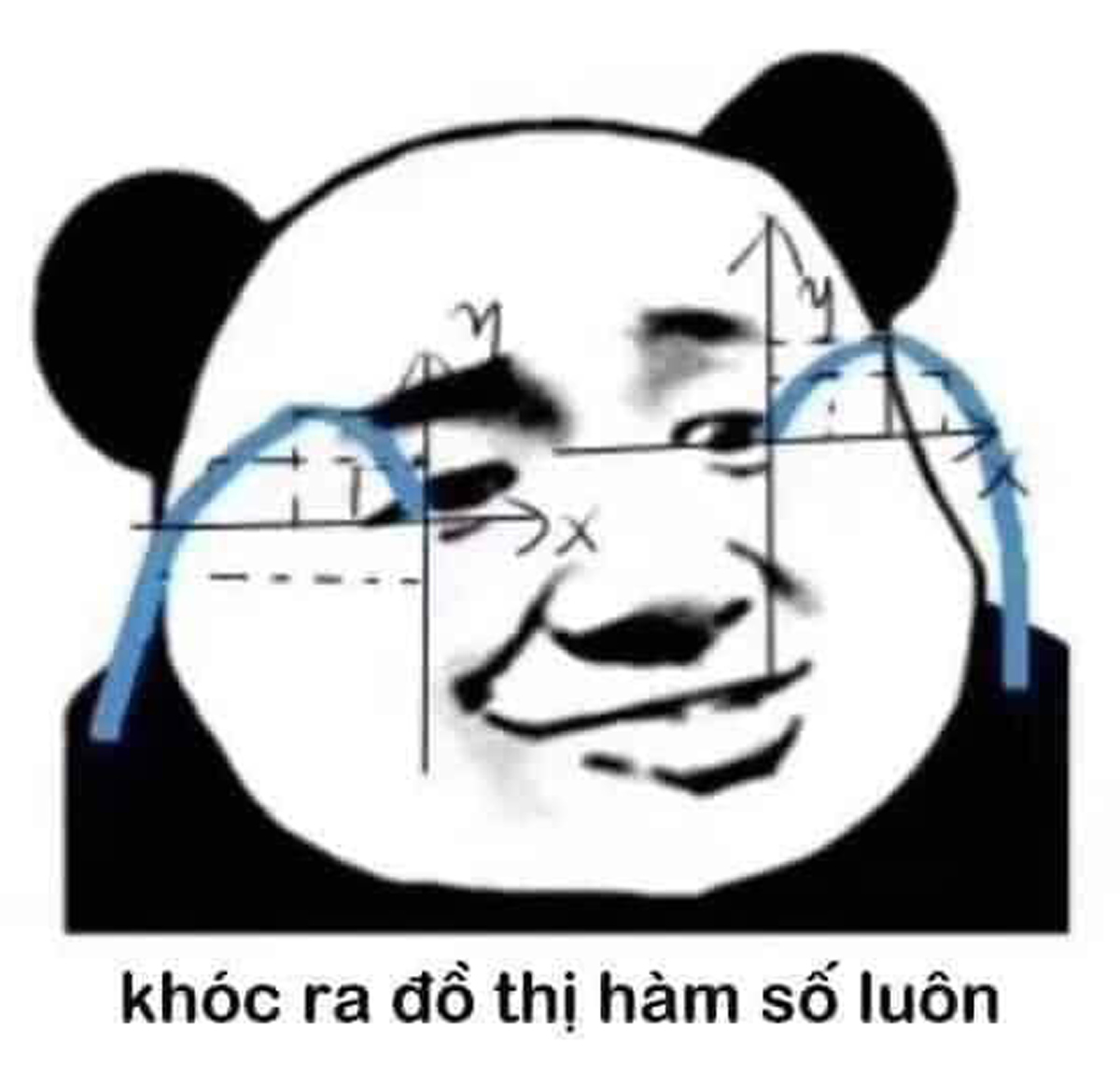 Vừa Khóc Vừa Cười Meme: Nguồn Gốc, Ý Nghĩa và Sự Phổ Biến Gallery 2