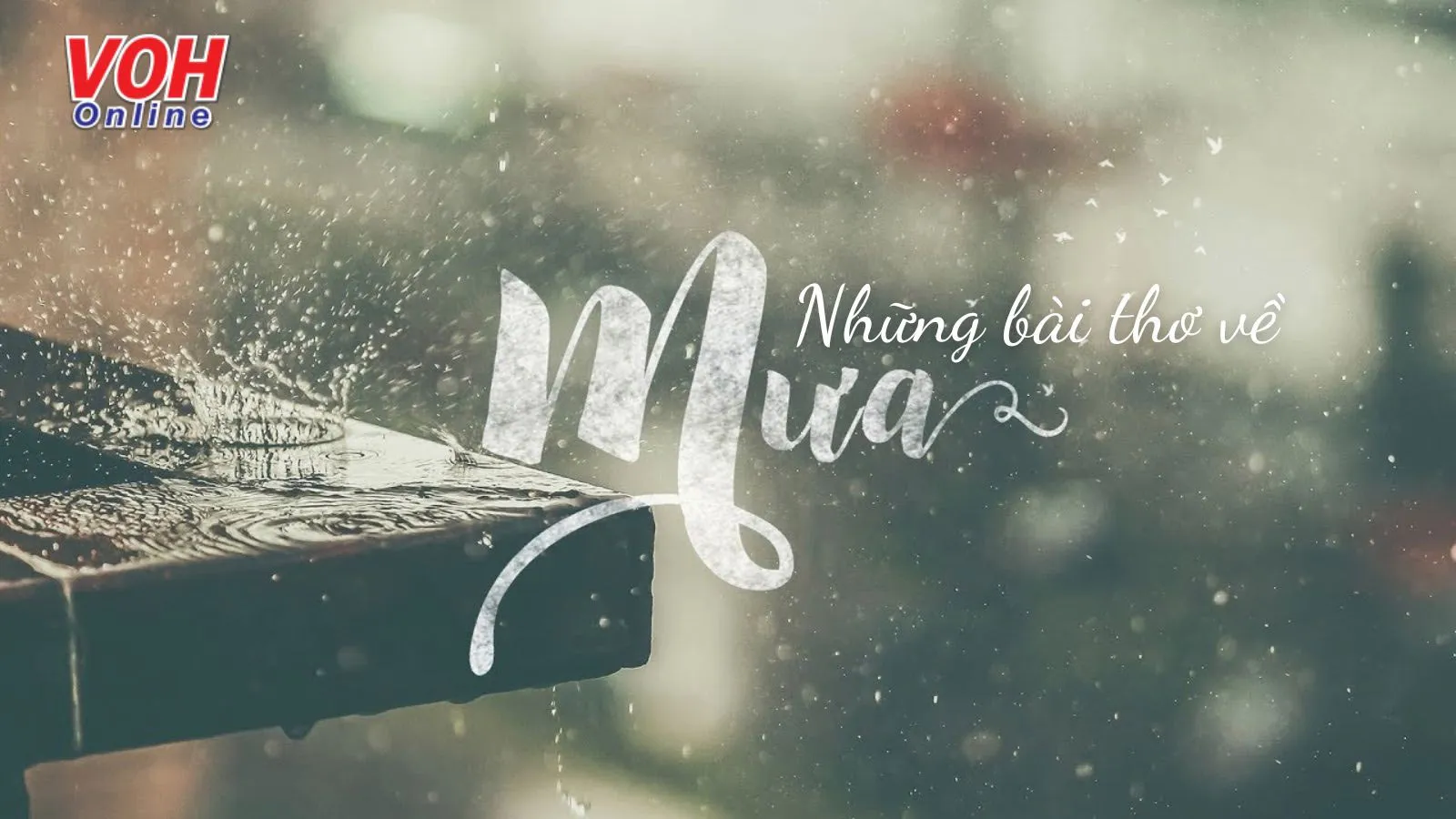 Thơ Ngắn Về Mưa Vui Gallery 2