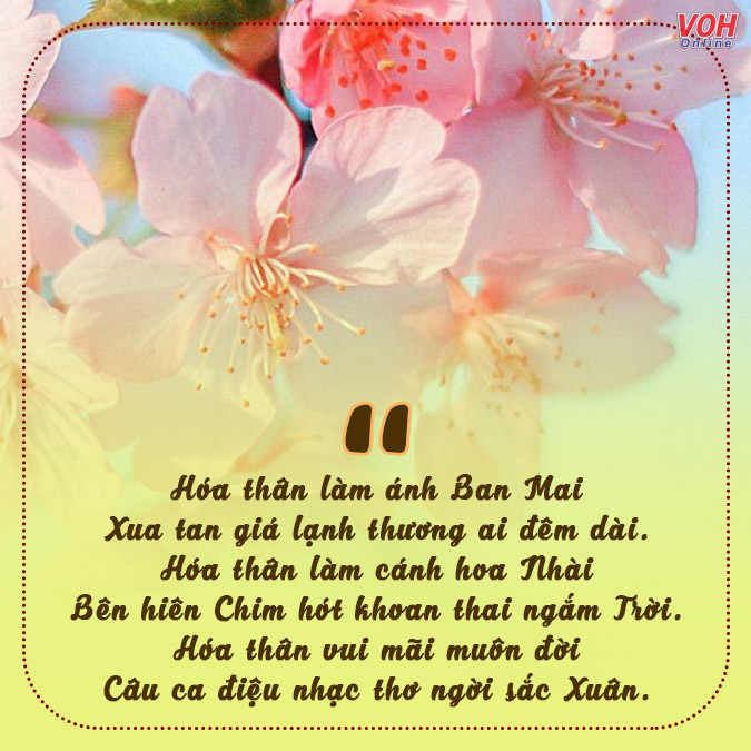 Một Số Bài Thơ Về Mùa Xuân Gallery 2