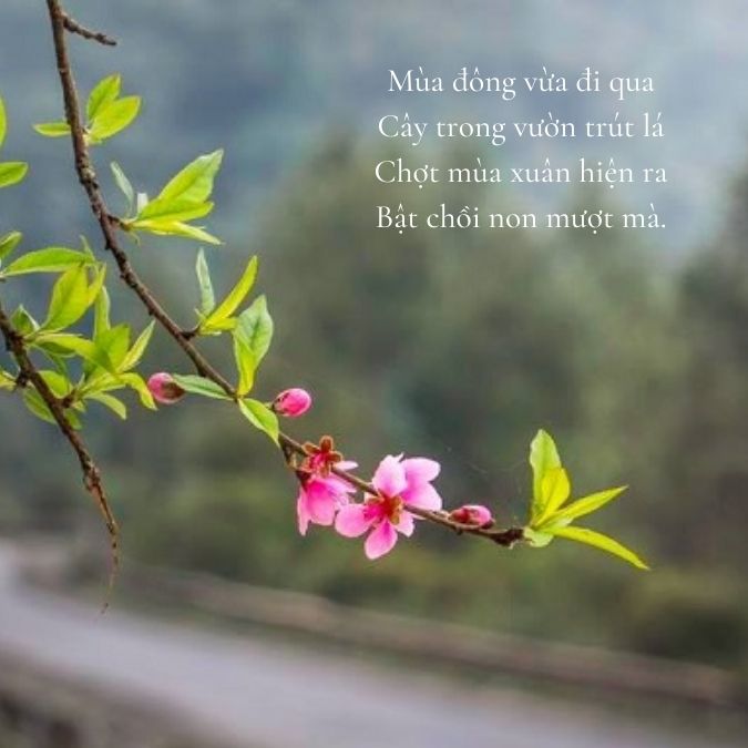 Thơ về mùa xuân ngắn Gallery 2