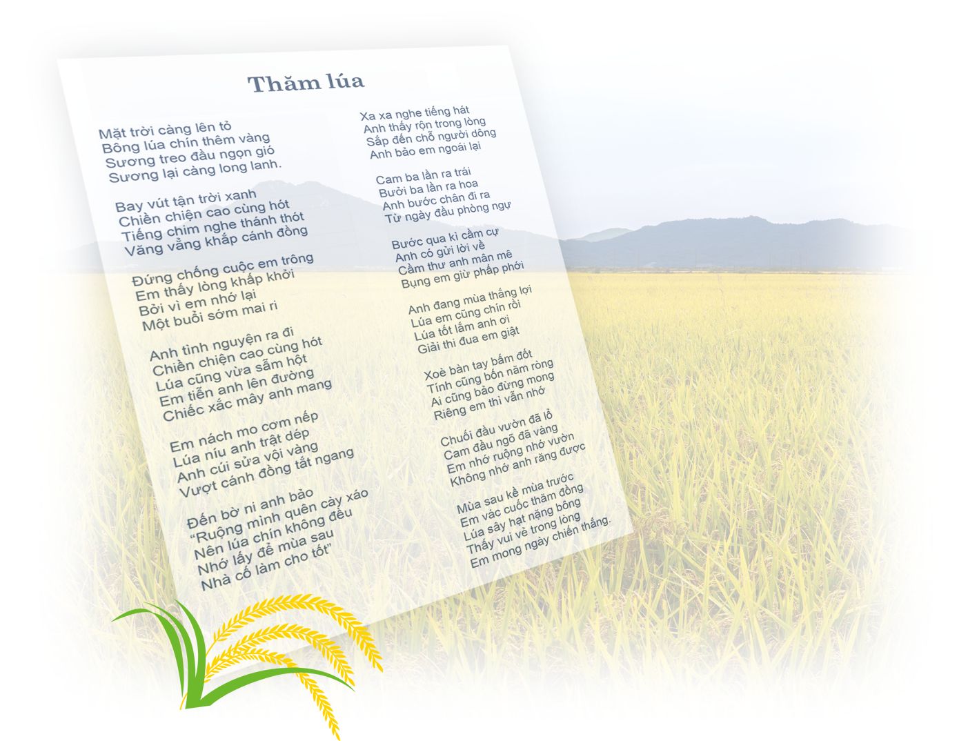 Bài Thơ Thăm Lúa Hay Và Ý Nghĩa Gallery 2