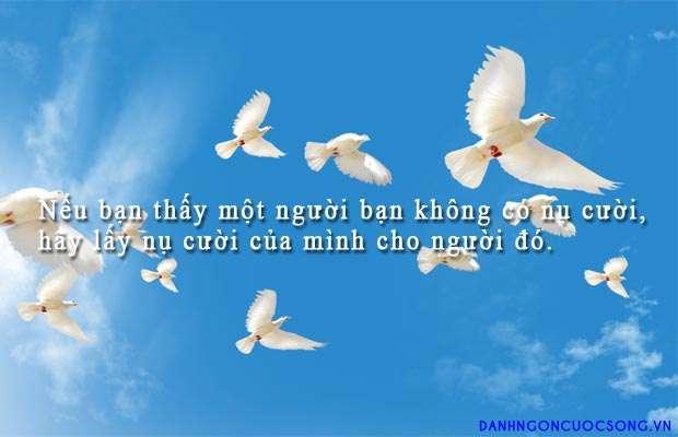 Thấy em cười mắt trong ngần Gallery 2