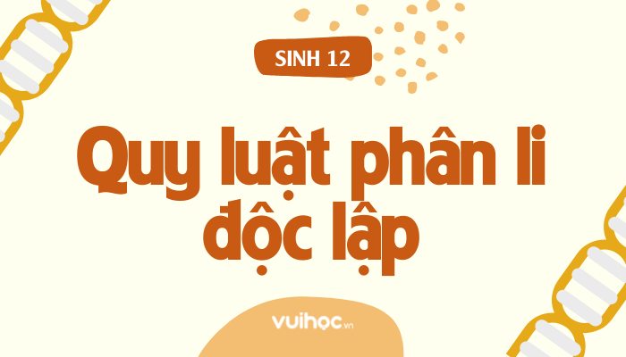 Quy luật phân li độc lập thực chất nói về gì? Gallery 2