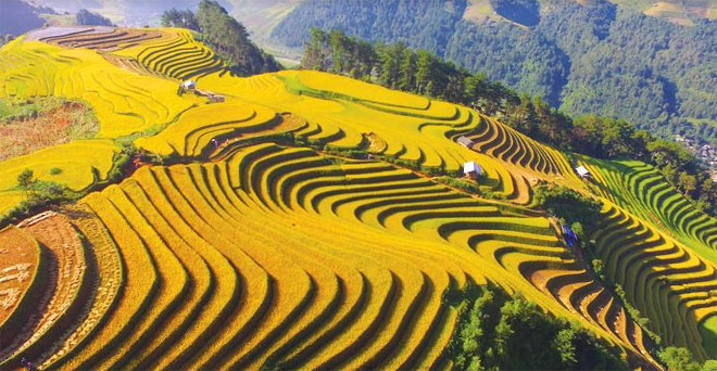 Ý nghĩa của ruộng bậc thang