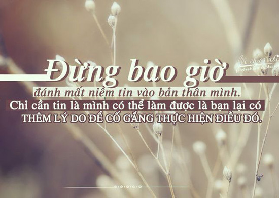 Vì sao giữa cuộc đời phải đánh mất đi? Gallery 2
