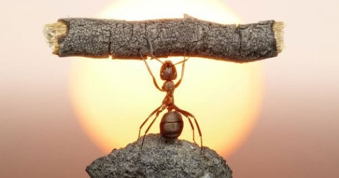 Ý Nghĩa Của Sự Quyết Tâm