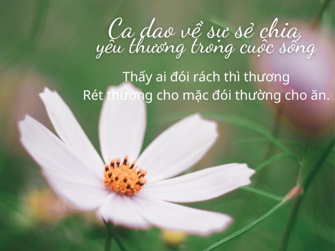 Ý nghĩa của sự sẻ chia