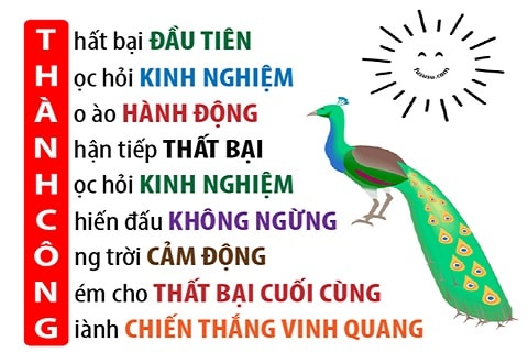 Ý Nghĩa Của Sự Thành Công Gallery 2