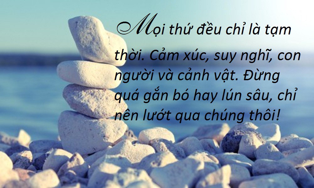 Ý Nghĩa Của Sự Thành Công Đối Với Mỗi Người Gallery 2