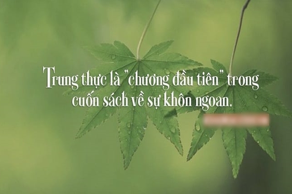 Thật Thà Là Gì? Gallery 1