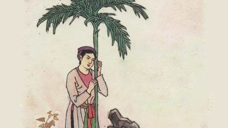 Sự tích trầu cau: Ý nghĩa sâu sắc trong văn hóa Việt Nam Gallery 2