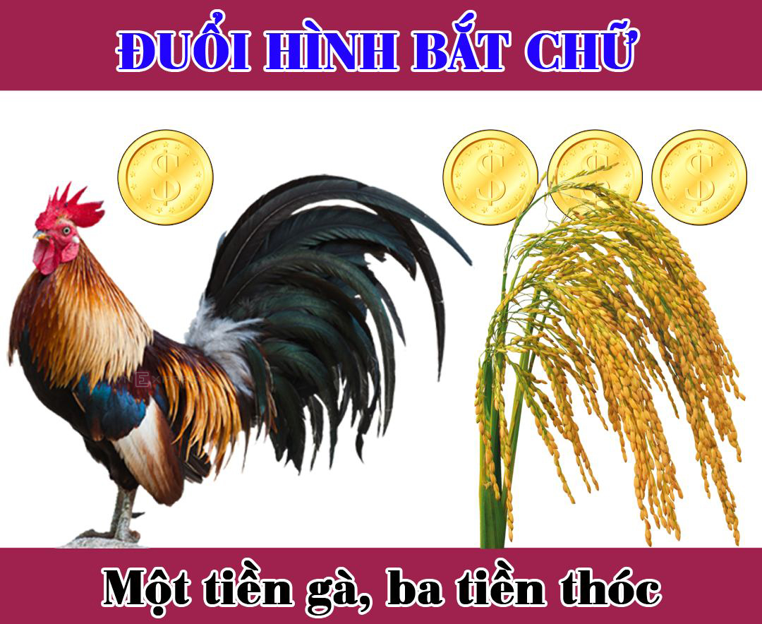 Ai Là Gà Ai Là Thóc?
