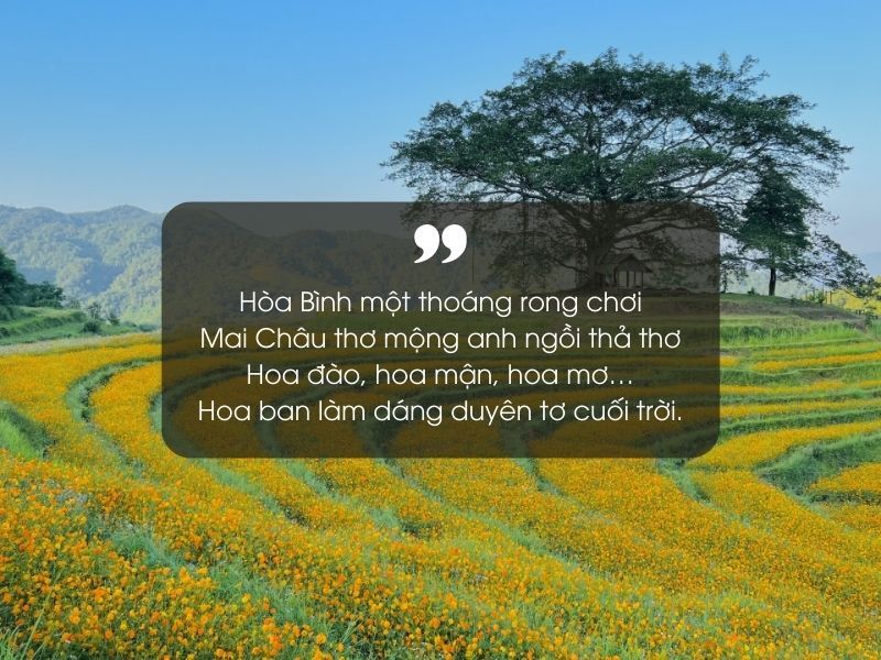 Thơ Về Hòa Bình: Khát Vọng Vĩnh Cửu Của Loài Người Gallery 2