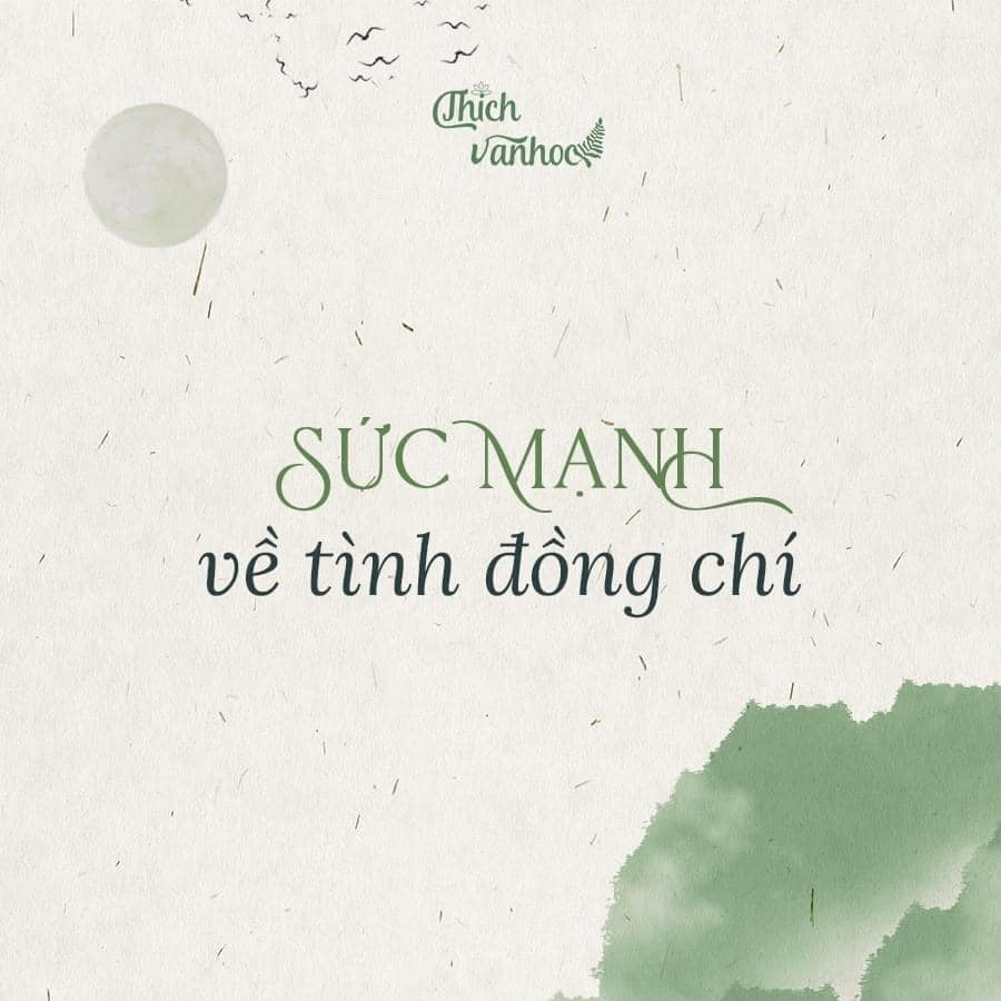 Tình Đồng Chí Là Gì? Gallery 1