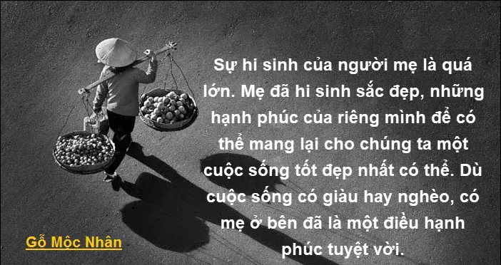 Ý nghĩa thiêng liêng của tình mẫu tử