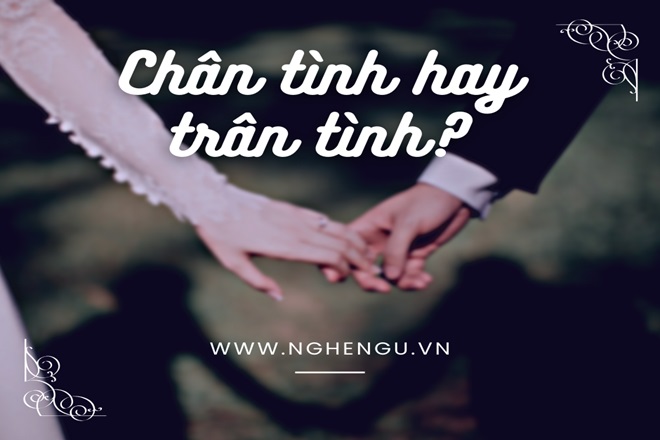 Trân tình là gì? Gallery 1