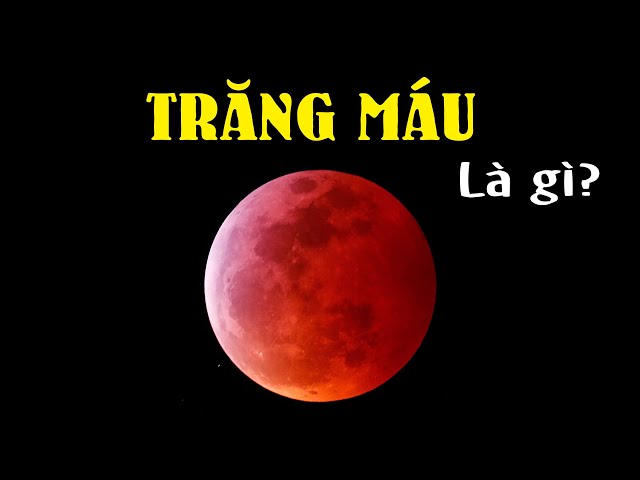 Trăng Trối Kỷ Nguyên Máu Gallery 1