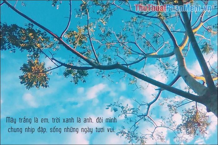 Trời xanh mây trắng Gallery 2