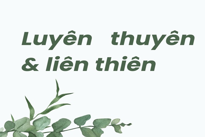 Liên tha liên thiên là gì? Gallery 1
