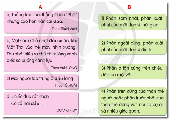 Ngời Ngời Là Gì? Gallery 1