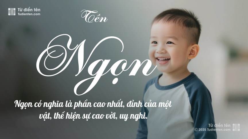 Ngọn ngành là gì? Gallery 1