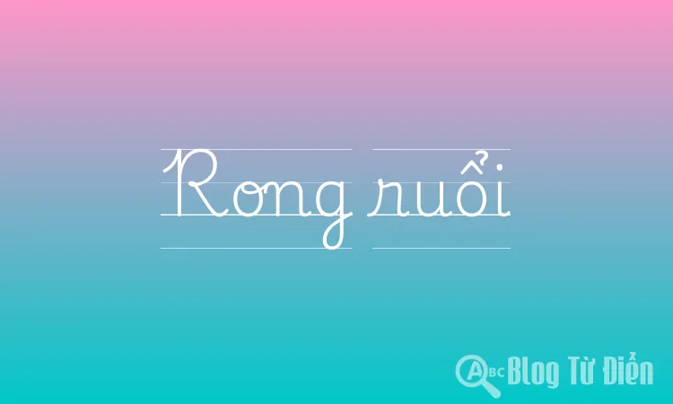 Rong ruổi là gì? Gallery 1
