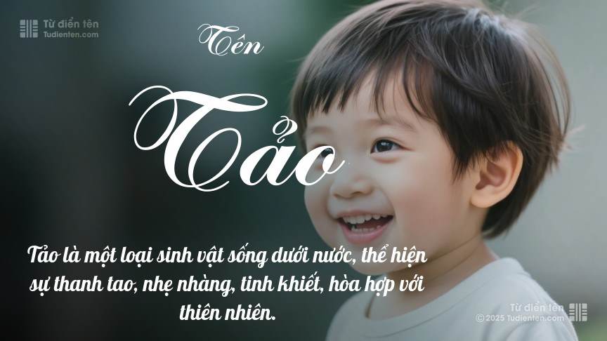Tần Tảo Là Gì? Gallery 1