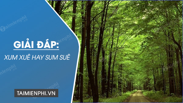 Xum là gì? Định nghĩa, ý nghĩa và cách sử dụng Gallery 1