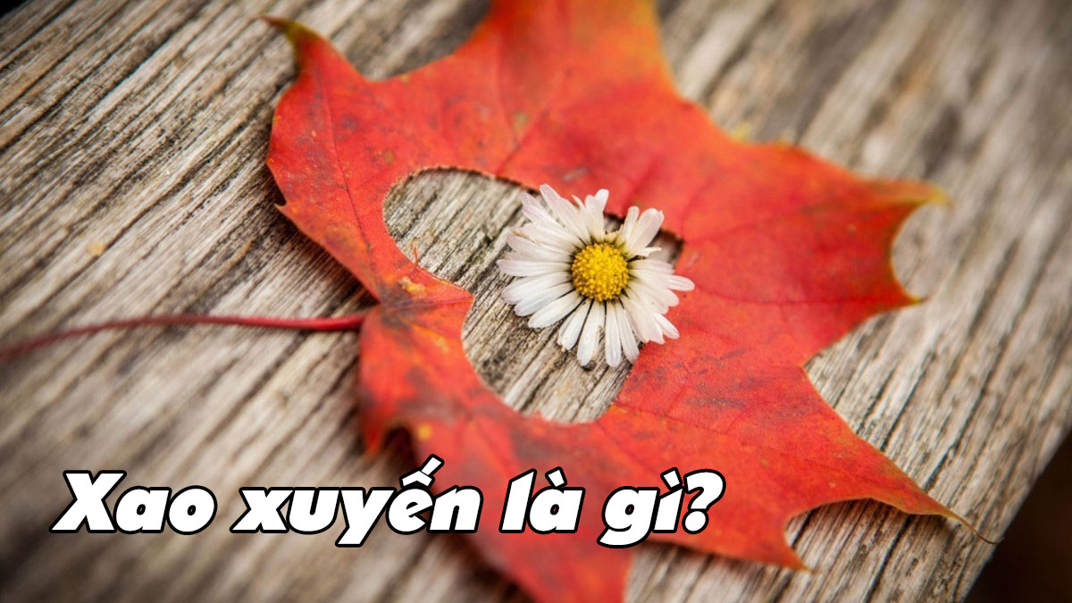 Xuyến Xao Là Gì? Gallery 1